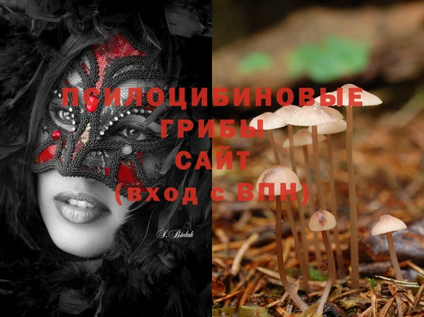 скорость Заволжье