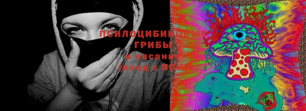 Альфа ПВП Заволжск